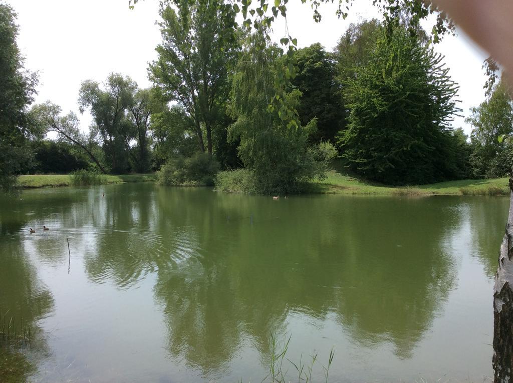 Camping Du Ried Boofzheim Exteriér fotografie